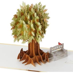 Hallmark Signature Paper Wonder Pop Up Card (Here for You) Thinking of You, Sympathy, Get Well Soon