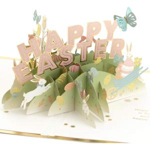 Hallmark Signature Paper Wonder Pop Up Father’s Day Card (Celebrating You)(Easter Eggs)