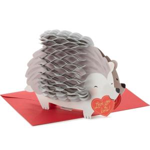 Hallmark Signature Paper Wonder Pop-Up Valentine’s Day Card (Love You A Bunch) for Kids, Spouse, Friend, Grandparent(Honeycomb Hedeghog)