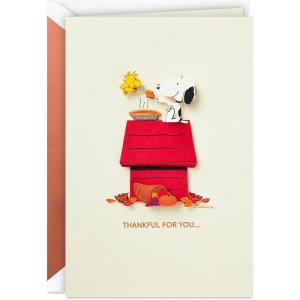 Hallmark Signature Peanuts Thanksgiving Card (Snoopy and Woodstock)(Snoopy and Woodstock)