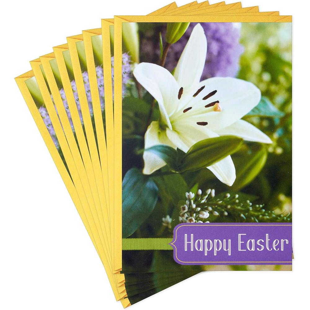 imageDaySpring Pack of Religious Easter Cards Alleluia 8 Cards with EnvelopesLily  Blessed Day  8 Cards with Envelopes
