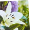DaySpring Pack of Religious Easter Cards, Alleluia (8 Cards with Envelopes)(Lily  Blessed Day  8 Cards with Envelopes)