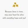 DaySpring Pack of Religious Easter Cards, Glorious Hope (4 Cards with Envelopes)(Glorious Hope  4 Religious Cards with Envelopes)