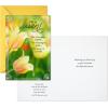 DaySpring Pack of Religious Easter Cards, He is Risen (10 Cards with Envelopes)(He is Risen  10 Cards with Envelopes)
