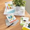 Hallmark Good Mail Graduation Cards Assortment, Every New Adventure (Pack of 3 Cards with Envelopes)(Congrats Grad)