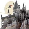 Hallmark Harry Potter Pop Up Birthday Card (Magic & Adventure) Signature Paper Wonder 3D Card(Pop Up  Harry Potter)