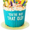 Hallmark Paper Wonder Shoebox Funny Pop Up Card for Birthdays (Cupcake, “Not That Old”)(Cupcake  “Not That Old”)