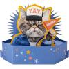 Hallmark Paper Wonder Shoebox Funny Pop Up Card for Birthdays (Cupcake, “Not That Old”)(Grouchy Cat)