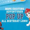 Hallmark Paw Patrol Birthday Card for Boys (Born Brave)(Paw Patrol)