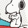 Hallmark Peanuts Blank Cards, Snoopy Typing (10 Cards with Envelopes)
