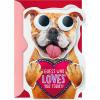 Hallmark Peanuts Valentine’s Day Sound Card for Kids (Snoopy Hug) (699VCG3007)(Dog with Googly Eyes  Valentine’s Card)