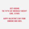 Hallmark Shoebox Pack of 4 Funny Valentines Day Cards (Cats Don’t Care)