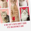 Hallmark Shoebox Pack of 4 Funny Valentines Day Cards (Cats Don’t Care)