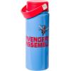 Silver Buffalo Rainbow Brite Stainless Steel Water Bottle with Swivel Handle, 20 Ounces(Avengers)