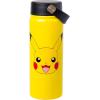 Silver Buffalo Rainbow Brite Stainless Steel Water Bottle with Swivel Handle, 20 Ounces(Pokemon)
