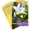 DaySpring Pack of Religious Easter Cards, Alleluia (8 Cards with Envelopes)(Lily  Blessed Day  8 Cards with Envelopes)