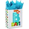 Hallmark 9″ Medium Birthday Gift Bag with Tissue Paper and Mini Signs (Happy Happy Birthday, Green, Grey, Blue Hand lettering)(Bday Bag with Turquoise Tissue)