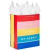 Hallmark Crayola 13″ Large Gift Bag with Tissue Paper (Rainbow Stripes) for Birthdays, Graduations, Baby Showers, Back to School, Teachers, Kids