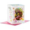 Hallmark Paper Wonder Displayable Pop Up Birthday Card for Her (Beautiful Butterflies and Flowers)
