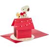 Hallmark Paper Wonder Peanuts Pop Up Valentines Day Card (Snoopy and Woodstock)(Card)