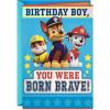 Hallmark Paw Patrol Birthday Card for Boys (Born Brave)(Paw Patrol)