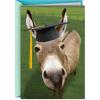 Hallmark Shoebox Funny Graduation Card (Smart Donkey)(Smart A** Donkey)