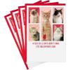 Hallmark Shoebox Pack of 4 Funny Valentines Day Cards (Cats Don’t Care)