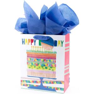 Hallmark 13″ Large Gift Bag with Tissue Paper (Bright Cake) for Birthdays, Parties and More(Birthday Cake)