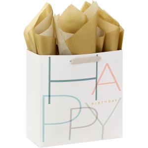 Hallmark 13″ Large Gift Bag with Tissue Paper (Bright Cake) for Birthdays, Parties and More(Minimal Teal  Gray  Pink  Blue)