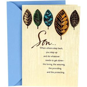 Hallmark Father’s Day Card for Son (A Fine Example of a Good Man), Model: 599FFW9592(Multicolor)
