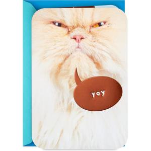 Hallmark Funny Fathers Day Card or Birthday Card from Cat (Celebrating)(Brown)