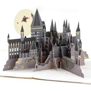 Hallmark Harry Potter Pop Up Birthday Card (Magic & Adventure) Signature Paper Wonder 3D Card(Pop Up  Harry Potter)