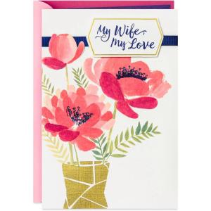 Hallmark Mothers Day Card for Wife (You Mean the World to Me)(You Mean the World to Me)