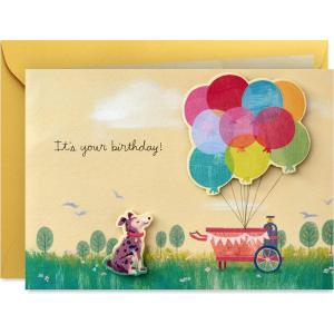 Hallmark Paper Wonder Pop Up Birthday Card (Get Carried Away)(4″ x 5.5″)