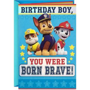 Hallmark Paw Patrol Birthday Card for Boys (Born Brave)(Paw Patrol)
