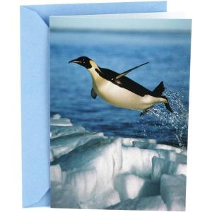Hallmark Shoebox Funny Graduation Card (Smart Donkey)(Soaring Penguin)