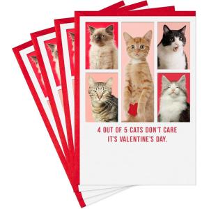 Hallmark Shoebox Pack of 4 Funny Valentines Day Cards (Cats Don’t Care)