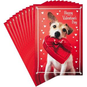 Hallmark Pack of Valentines Day Cards, Dog with Box of Chocolates (10 Valentine’s Day Cards with Envelopes)(Dog with Chocolates)