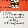 Hallmark Anniversary Card (Peanuts Vignette) (0399RZB1111)