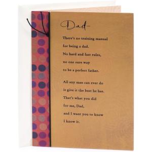 Hallmark Birthday Card for Dad (No Training Manual)(Circles)