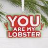 Hallmark Friends You are My Lobster Christmas Ornament, TV Show Gifts