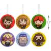 Hallmark Harry Potter Christmas Ornaments, Tin Ball, Set of 12(Set of 6)