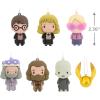 Hallmark Harry Potter Set 2 Mystery Christmas Ornaments, Shatterproof, Set of 2(Set 1)