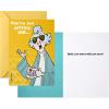 Hallmark Shoebox Maxine All Occasions Card Assortment (6 Cards with Envelopes), Model:1599RZG1001(Yellow)