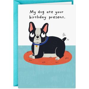 Hallmark Shoebox Funny Birthday Card (My Dog Ate Your Present)
