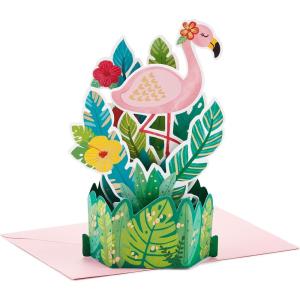 Hallmark Signature Blank Card (Hello)(Flamingo)