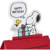 Hallmark Peanuts Birthday Card (Snoopy, Balloons)(Snoopy Dog House)