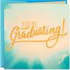 Hallmark Funny Graduation Card with Music (Plays Hallelujah Chorus)(Funny Musical Card  Plays Hallelujah Chorus)