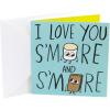 Hallmark Studio Ink Anniversary Card (S’more Love)