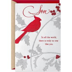 Hallmark Christmas Card for Son (Cardinal)(Cardinal)